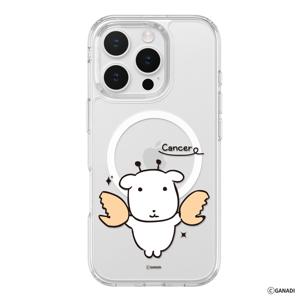 가나디 아이폰 15 퓨어쉴드 맥세이프 별자리 케이스