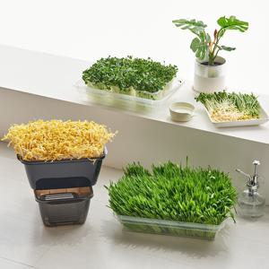 홈파밍 시작하기 콩나물/새싹보리/무순키우기 식물재배기 체험학습 키트 3종