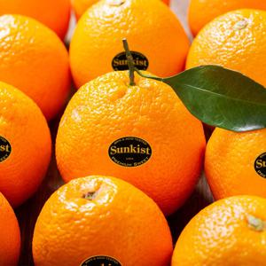 썬키스트 블랙라벨 오렌지 중과 10입 (개당 190g내외) 외 사이즈별 골라담기