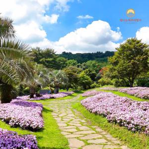 [*빛나는제주]제주도 3박4일 19만9천원단일가, 항공+호텔3박+식사7회