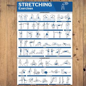 TEMU 1pc 스트레칭 운동 캔버스 벽화 - 12x18 인치 프레임되지 않은 직물 포스터, 체육관, 요가 스튜디오, 홈 워크 아웃 장식용 라벨링된 전체 신체 스트레치 - 유연성 및 이동성에 대한 재사용 가능한 피트니스 가이드, 교육 포스터