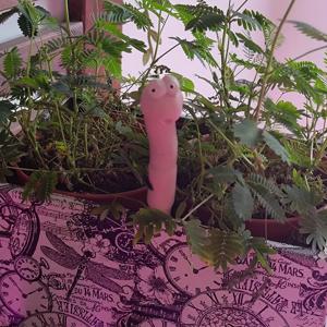 TEMU 귀여운 쾌적한 벌레 식물 장식 - 