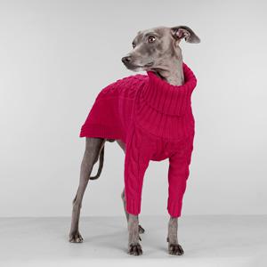 TEMU 가을, 겨울용 레드 코지 하이넥 강아지 스웨터. 배 보호 기능과 양다리 디자인 특징. 휘펫, 벙거리 테리어 등 소형견부터 대형견까지 적합한 니트 풀오버입니다. 봄, 가을, 겨울에 완벽합니다.