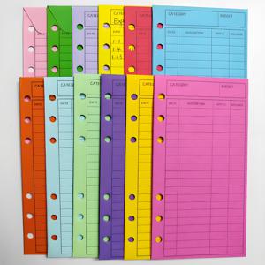 TEMU 현금 봉투 정리함이 있는 생생한 바인더 - 주간 및 월간 지출 보고 추적, 예산 간소화 및 일일 지출 관리에 최적