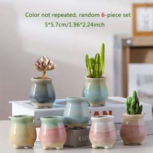 TEMU 일본 스타일의 귀여운 다육이 화분 세트. 랜덤으로 4개 또는 6개의 미니 세라믹 화분이 포함되어 있습니다 (색상은 중복되지 않음). 이 귀여운 모양은 작은 식물 및 이끼에 완벽합니다.
