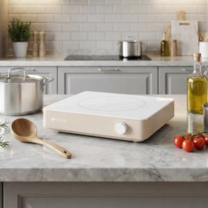 TEMU 1구 전기 인덕션 IH 전기 레인지 세라믹 글라스 상판 6단계 다이얼 조작