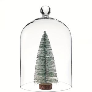 TEMU 2개 투명 유리 디스플레이 돔 클로쉬 벨 자르 테이블탑 장식용 케이스 식물 커버