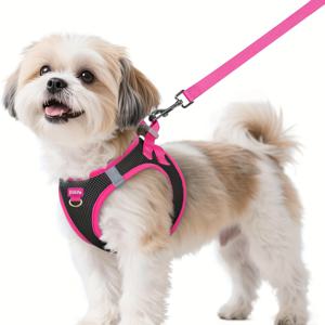 TEMU 강아지 하네스 및 리드줄 세트, 소형견을 위한 부드럽고 통기성 좋은 조끼, 야간 안전을 위한 반사 요소 포함, 소형견에게 적합