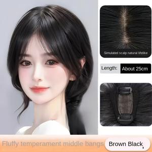 TEMU 인조 3D 앞머리 클립인 앞머리 연장 자연스러운 가발 앞머리补充物 투명 클로저 앞머리 커버 헤어피스