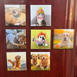 TEMU 스타일리시한 사각 사진 냉장고 자석 7개 - 사진, 만화, 동물 패턴으로 커스터마이징 가능, 쉬운 설치. 집과 사무실의 금속 벽 장식에 적합, 기념일, 생일, 결혼식 선물로 이상적