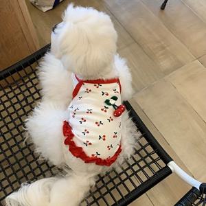 TEMU 귀여운 체리 고양이와 강아지 조끼 포메라니안 테디 강아지 치와와 공주 스타킹 조끼 드레스
