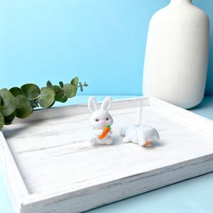 TEMU 미니 보관함이 있는 귀여운 흰 토끼 귀걸이 1쌍 | 레진, 저자극성, 데일리 파티에 이상적, 동물 애호가를 위한 특별한 선물, 모든 계절에 적합, 십 대용