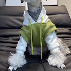 TEMU 애완 강아지 가을 겨울 플리스 스웨트셔츠 테디 슈나우저 비숑 시바 인우 소형견 고양이 트렌디 브랜드 의류