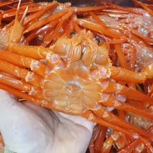 포항 구룡포 프리미엄 자숙 박달홍게 붉은 대게 3kg 5kg