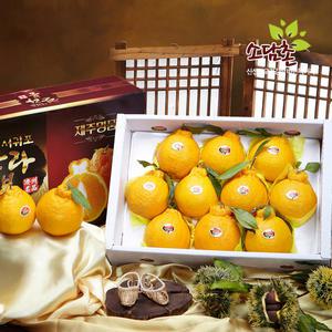 고당도 한라봉 선물세트 3kg/대과/로얄과