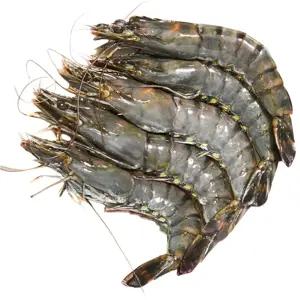 어부백서 냉동 블랙타이거새우 10미 20미 500g