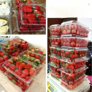 과일포장용기 100개 200개 일회용사각용기 딸기 투명케이스