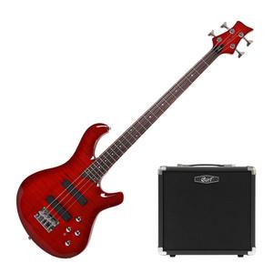 베이스기타 폴앤폴 250 (STBC) + 15W 앰프 패키지