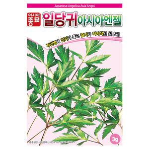 [모종심는아빠] 쌈 샐러드용으로 부인병에 인기가 좋고 줄기가 적자색인 일당귀 아시아엔젤 씨앗 3g