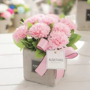 감사하는마음대 핑크 어버이날 스승의날 카네이션