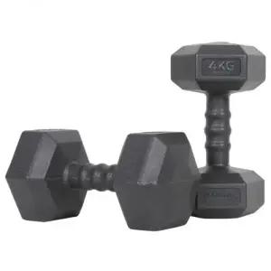 아이워너 헬스 아령 맨즈 육각 운동 덤벨 웨이트 근육 4kg 2개
