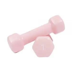 아이워너 웨이트 헬스 뷰티 육각 덤벨 미용 아령 1kg 2개 코랄핑크