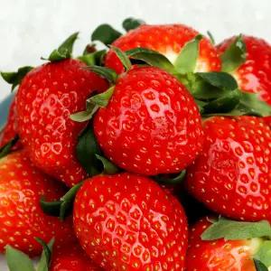 신선함 담은 청원생명 설향 딸기 1kg 35개