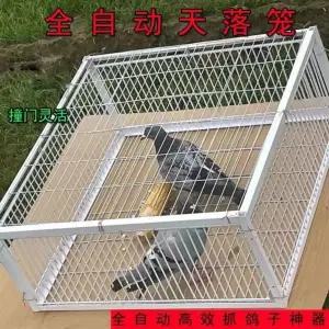 비둘기 기 틀 철망 케 트랩 새 울타리 덫 까치