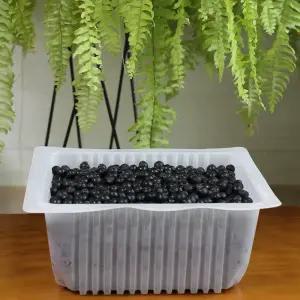 2025 햇 아로니아 냉동과 10kg(2.5kg x 4팩) 꼭지제거 줄기제거