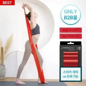 세라밴드 스트래칭용 레벨2 밴드 D3197 스트레칭도구