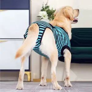 강아지생리팬티 일체형 중대형견 올인원 팬티