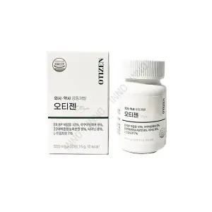 오티젠 브레인서큘 포뮬러 500mg x 30정 tr