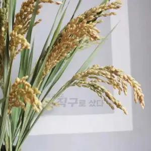 장식 촬영 소품 벼이삭 시골 농가 조화 말린 꽃다발