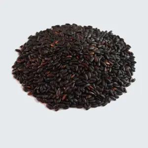 25년햅쌀 찰흑미 8kg 대용량