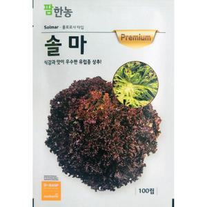 [모종심는아빠] 은은한 단맛의 연하고 아삭한 셀러드용 유럽상추 솔마 100립 롤로로사
