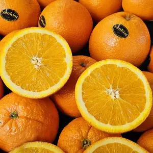 썬키스트  블랙라벨 고당도 오렌지 대과 8kg (32입)