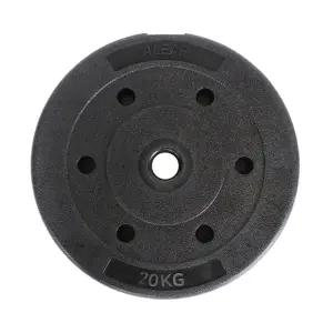 플렉스 원판 20kg 1개입 덤벨 홈짐 홈트