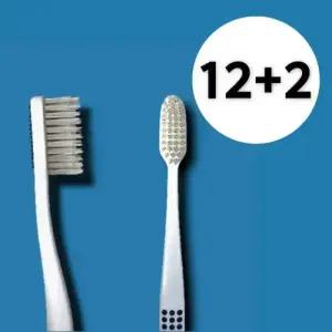 (( 3세트 + 낱개 2개 증정)) 덴탈리스트 엠보싱 자생칫솔