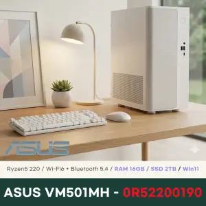 ASUS VM501MH-0R52200190 데스크탑 16GB 2TB Win11