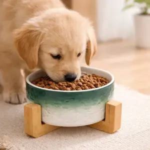 반려동물 우드받침 도자기식기 (16cm) (그린그라데이션)고양이 강아지밥그릇