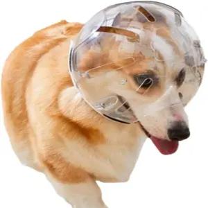 개 총구 고양이용 애완동물 후드 물림 방지 조절 가능한 헬멧