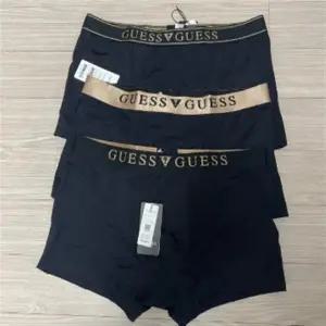 [셀러허브][웰빙창고] 게스 젠틀 골드 드로즈 3팩 (S41288109)