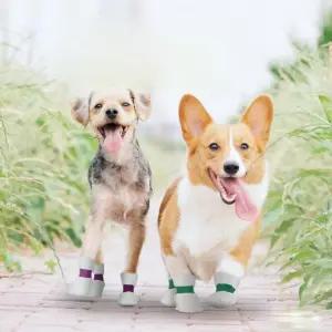 [원이안전] 발붕대 강아지 용품 부직포 밴드 부츠 일회용 반려견 애견슈즈 산책 신발 발토시 20P (본품)