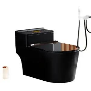 치마형변기 일체형 변기 식당 블랙 도기 교체 세라믹