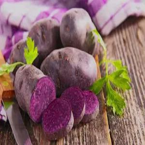 해남 자색고구마 10kg 한입