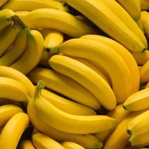 경남 산청 국내산 바나나 2.5kg