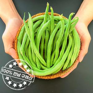 얼리지 않은 100% 지리산 생 그린빈 롱빈 줄기콩 500g
