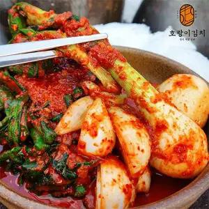 [호랑이김치]국산 전라도 극조생 양파줄기김치 5kg
