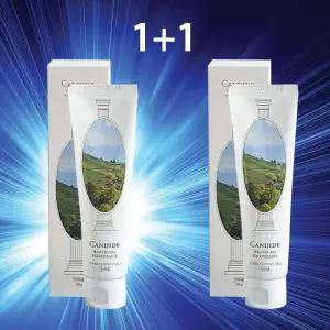 칸디데 화이트 치아 미백 케어 치약 X2 누렁니 누런 이빨 개선 칸디대 칸데디 켄디데 캔디데