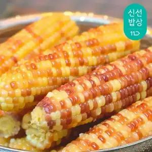 무첨가 간식용 찰기가득 홍찰옥수수 12~16cm / 30개